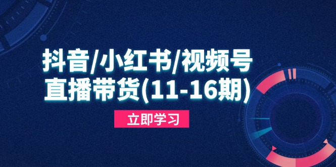 [直播玩法]（14611期）抖音/小红书/视频号/直播带货(11-16期)，快速掌握平台规则，打造爆款内容-第1张图片-智慧创业网