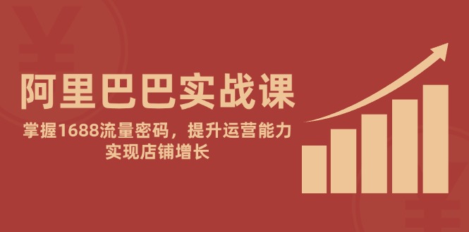 [国内电商]（14830期）阿里巴巴实战课：掌握1688流量密码，提升运营能力，实现店铺增长