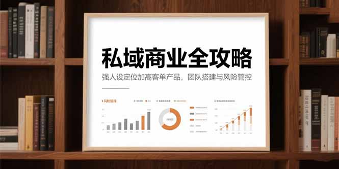 [引流-涨粉-软件]（15294期）私域商业全攻略，强人设定位加高客单产品，团队搭建与风险管控