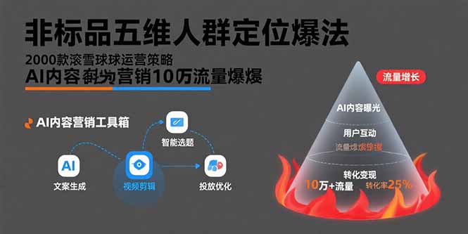 [国内电商]（15619期）非标品五维人群定位法，2000款滚雪球运营策略，AI内容营销10万流量引爆-第1张图片-智慧创业网