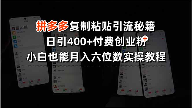 [引流-涨粉-软件]（15613期）拼多多复制粘贴引流秘籍，日引400+付费创业粉，小白也能月入六位数实操...-第1张图片-智慧创业网