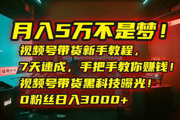 [热门给力项目]（15595期）月入5万不是梦！视频号带货新手教程，7天速成，手把手教你赚钱！视频号...-第1张图片-智慧创业网