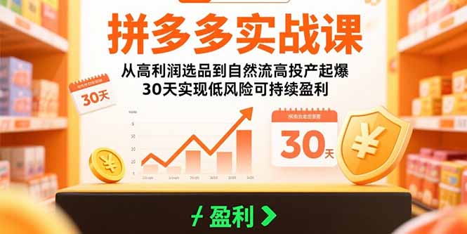 [国内电商]（15586期）拼多多实战课：从高利润选品到自然流高投产起爆 30天实现低风险可持续盈利-第1张图片-智慧创业网