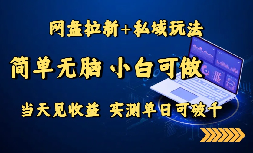 [虚拟项目]（15744期）网盘拉新+私域玩法，简单无脑，小白可做，当天见收益，实测单日可破千