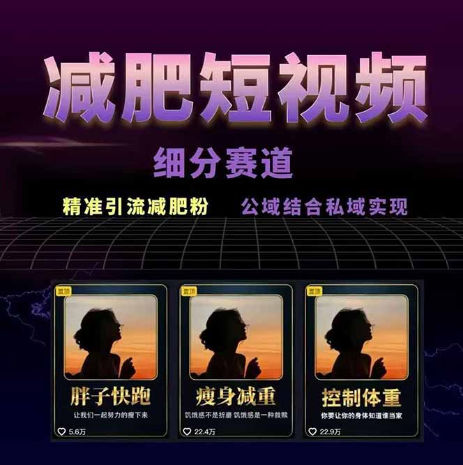 [短视频运营]（15788期）减肥短视频赛道运营课：素材准备-视频制作-引流变现全流程 (附素材)-第2张图片-智慧创业网