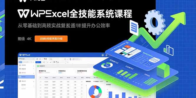 [人工智能]（15873期）WPS Excel全技能系统课程：从零基础到高阶实战全覆盖，全面提升办公效率-第1张图片-智慧创业网