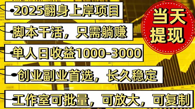 [虚拟项目]（16501期）2025翻身上岸项目脚本干活，内部客户经理内部开号，单人日收益1000-300...
