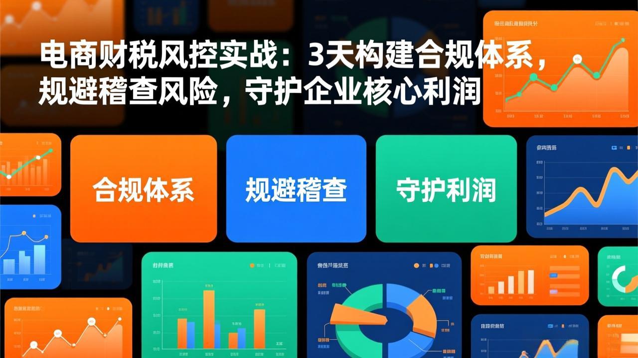 [国内电商]（17197期）电商财税风控实战：3天构建合规体系，规避稽查风险，守护企业核心利润