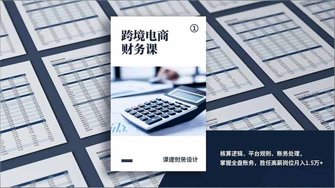 [跨境电商]（17036期）跨境电商财务课，核算逻辑、平台规则、账务处理，掌握全盘账务，胜任高薪岗位月入1.5万+