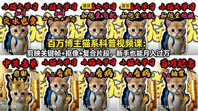 [短视频运营]（18595期）百万博主猫系科普视频课：剪映关键帧+抠像+复合片段，新手也能月入过万-第1张图片-智慧创业网