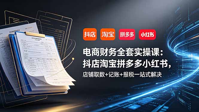 [国内电商]（19001期）电商财务全套实操课：抖店淘宝拼多多小红书，店铺取数+记账+报税一站式解决