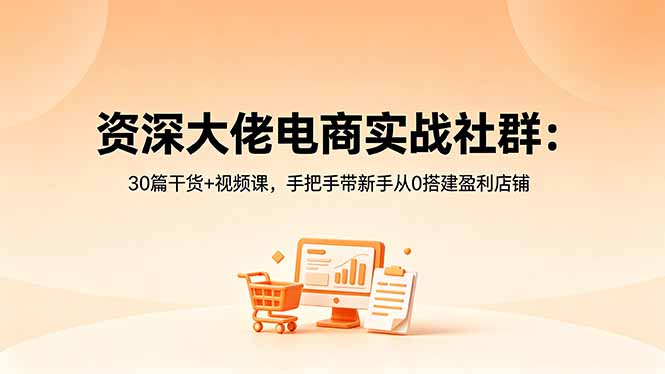 [国内电商]（18529期）资深大佬电商实战社群：30篇干货+视频课，手把手带新手从0搭建盈利店铺