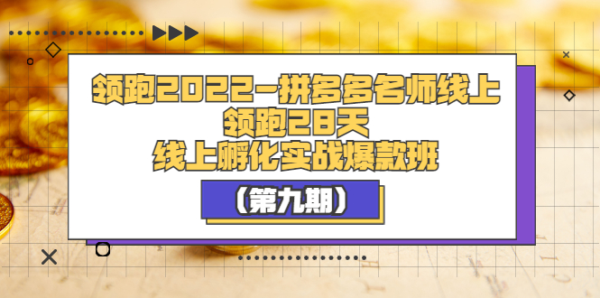 [国内电商]（3370期）领跑2022-拼多多名师线上领跑28天，线上孵化实战爆款班（第九期）-第1张图片-智慧创业网