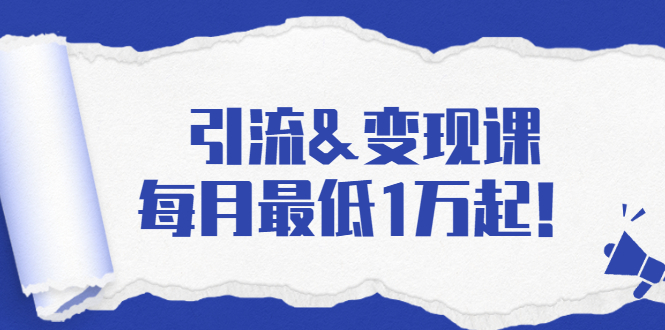 [引流-涨粉-软件]（1721期）引流&变现课：分享一整套流量方法以及各个渠道收入，每月最低1万起！