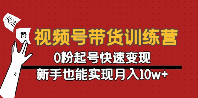 [短视频运营]（4446期）视频号带货训练营：0粉起号快速变现，新手也能实现月入10w+