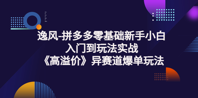 [国内电商]（3435期）逸风-拼多多零基础新手小白入门到玩法实战《高溢价》异赛道爆单玩法实操课-第1张图片-智慧创业网