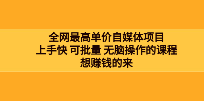 [新媒体]（3557期）全网最单高价自媒体项目：上手快 可批量 无脑操作的课程，想赚钱的来