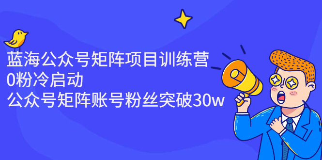 [公众号]（2405期）蓝海公众号矩阵项目训练营，0粉冷启动，公众号矩阵账号粉丝突破30w