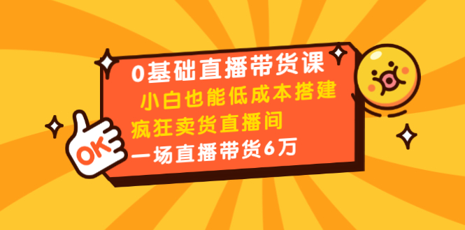 [直播带货]（1472期）0基础直播带货课：小白也能低成本搭建疯狂卖货直播间：1场直播带货6万-第1张图片-智慧创业网