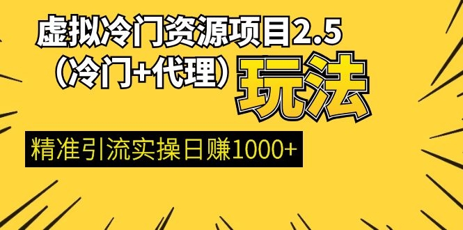 [虚拟资源]（1249期）虚拟冷门资源项目2.5（冷门&代理玩法） 精准引流实操日赚1000+(完结)-第2张图片-智慧创业网