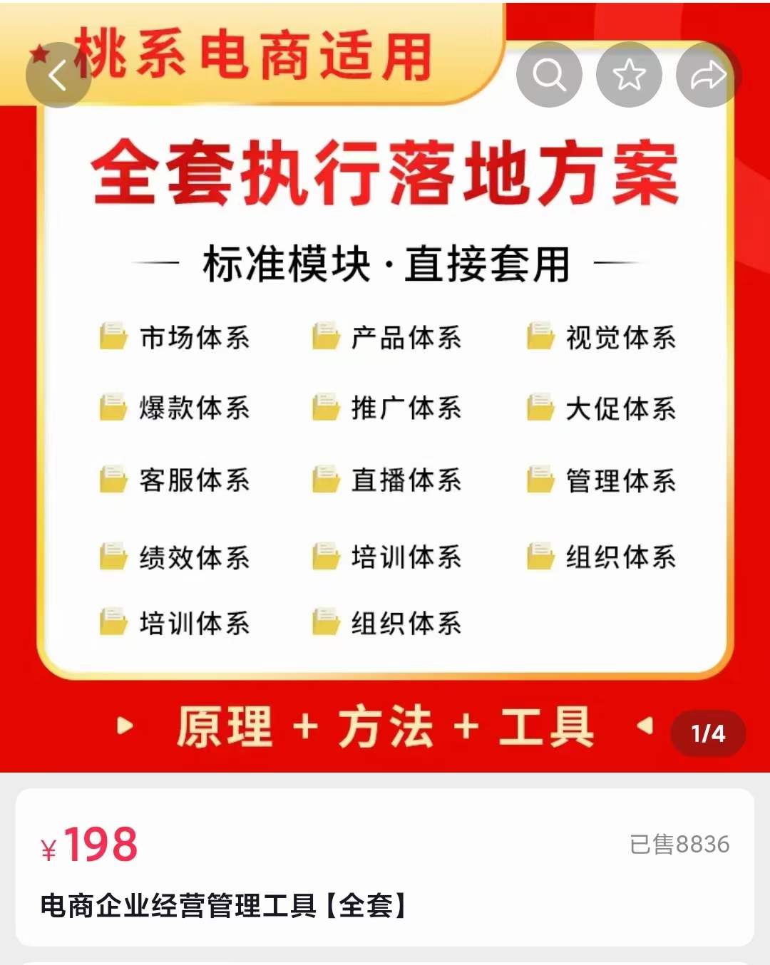 [国内电商]（3439期）外面卖198·电商企业经营管理工具：全套执行落地方案 标准模块·直接套用-第2张图片-智慧创业网