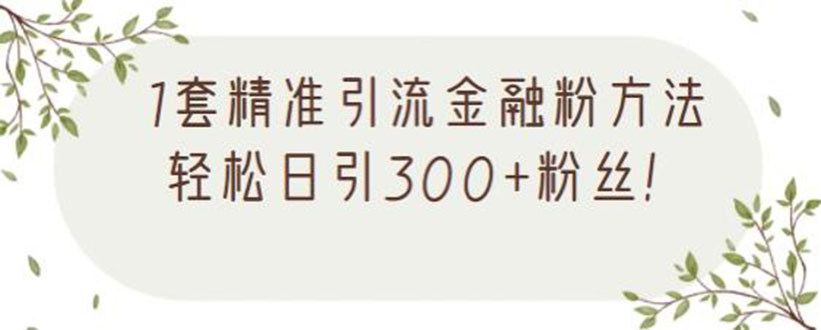 [引流-涨粉-软件]（2156期）1套精准引流金融粉方法，轻松日引300+粉丝【视频课程】-第1张图片-智慧创业网