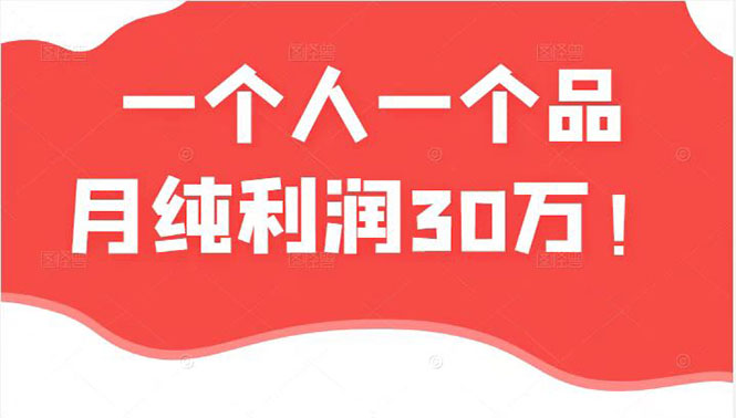 [国内电商]（2343期）某公众号付费文章：一个人一个品月纯利润30万的蓝海电商经典案例！-第1张图片-智慧创业网