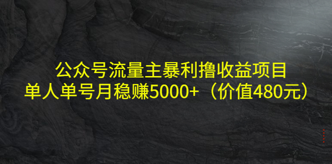 [公众号]（4011期）公众号流量主暴利撸收益项目，单人单号月稳赚5000+（价值480元）