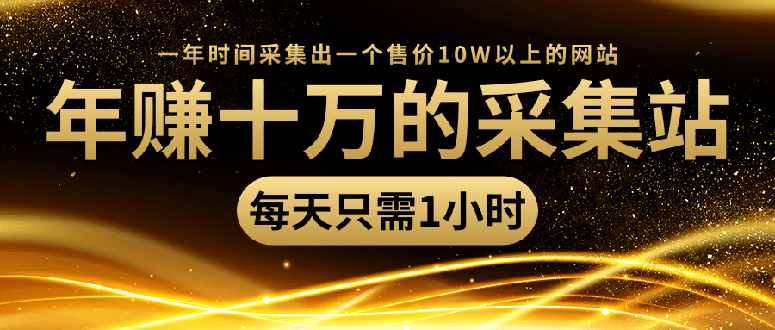 [引流-涨粉-软件]（1418期）年赚十万的采集站，每天1小时，一年采集出一个售价10W的网站（无水印）-第1张图片-智慧创业网