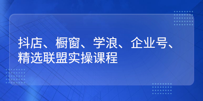 [短视频运营]（2640期）抖店、橱窗、学浪、企业号、精选联盟实操课程-第1张图片-智慧创业网