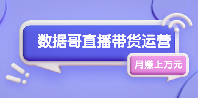 [直播带货]（1761期）数据哥直播带货运营线上进阶课，让普通人也能靠直播月赚上万元