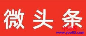 教你如何操作微头条带货赚钱，详细步骤，轻松月入过万-第1张图片-智慧创业网
