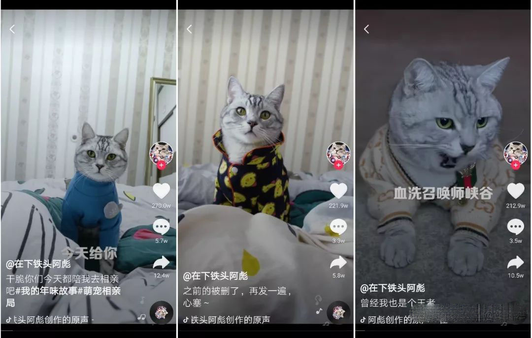 抖音喵星人小电影赚钱套路