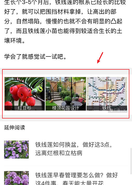 [网赚项目]这样看广告，不仅能提升认知，还能赚钱！