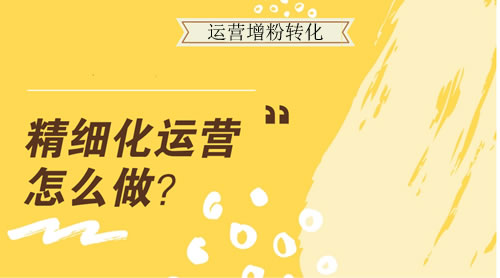 精细化运营增粉变现秘诀分享