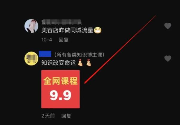[引流涨粉]被动获取流量的赚钱项目：抖音评论截流卖资料，也能日入200元