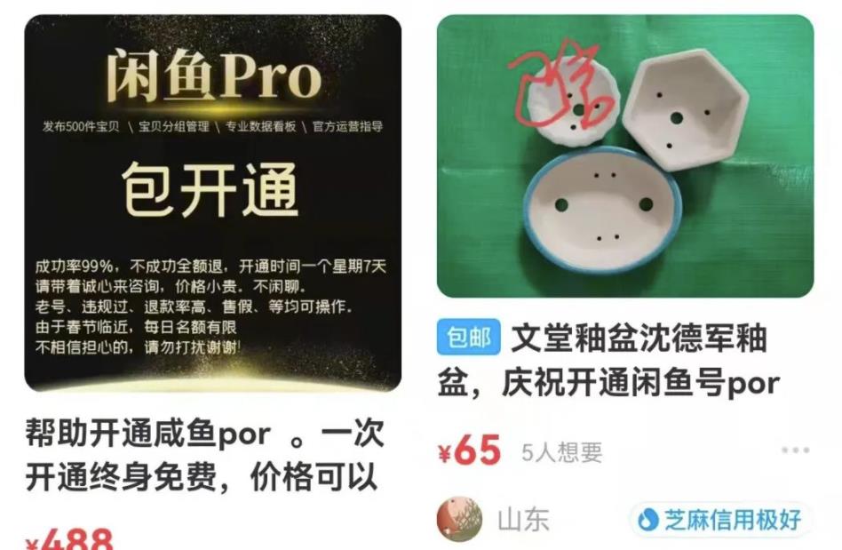 [网赚项目]售价488的闲鱼开通PRO教程