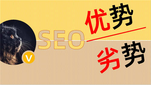 [引流涨粉]SEO优化基础：SEO的优势与劣势-第1张图片-智慧创业网