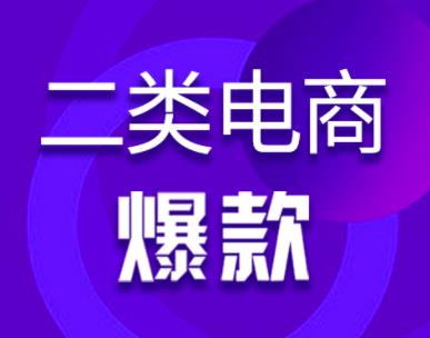 [创业资讯]聊一个小众的电商项目——二类电商，类似1688无货源，但重广告投放。-第1张图片-智慧创业网
