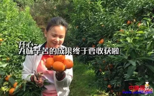 [短视频运营]风口红利期，做三农短视频自媒体赚钱，轻松获取几百上千万粉丝-第1张图片-智慧创业网
