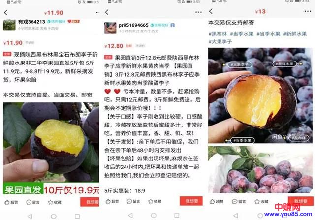 [网赚项目]普通人怎么月入过万的冷门小生意 2019闲鱼深度玩法-第3张图片-智慧创业网