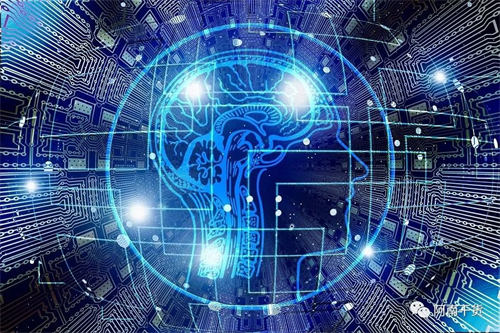 [引流涨粉]打造个人IP，是否需要付费报名学习？