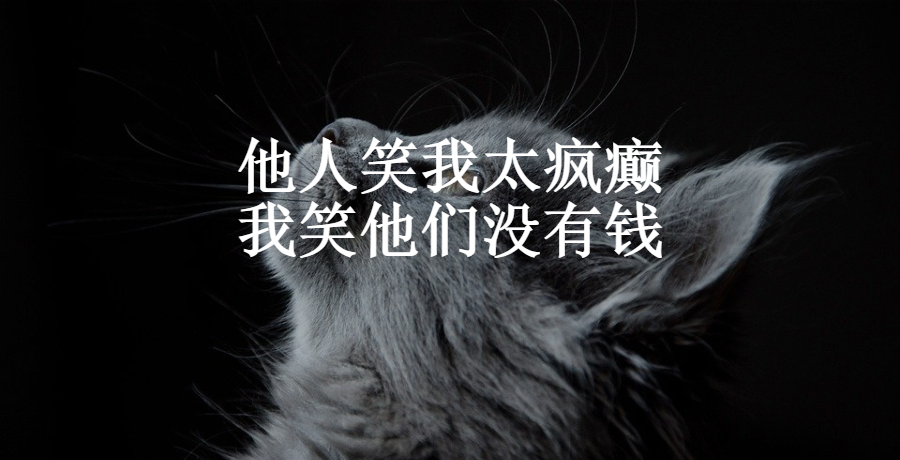 [创业资讯]他人笑我太疯癫，我笑他们没有钱
