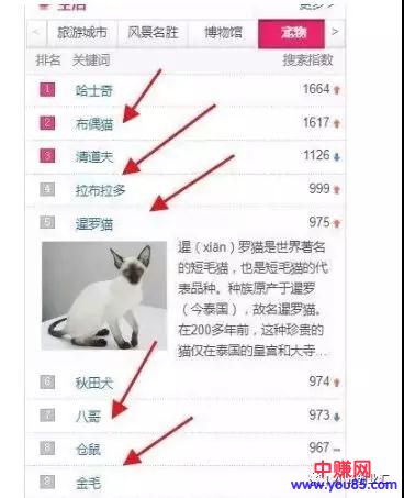 [网赚项目]挖掘身边不起眼的赚钱小项目，2个月，赚了80多万-第3张图片-智慧创业网