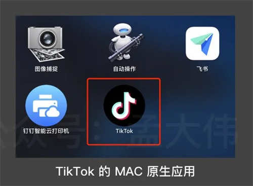 [创业资讯]抖音网页版透漏出字节跳动的焦虑和野心-第13张图片-智慧创业网