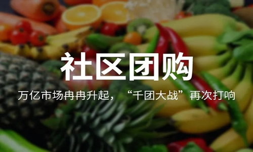 [创业资讯]社区团购，最终不是任何巨头的-第1张图片-智慧创业网
