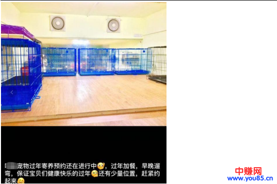 过年期间寄养宠物，也是一个不错的暴利网赚项目，日赚过千-第5张图片-智慧创业网
