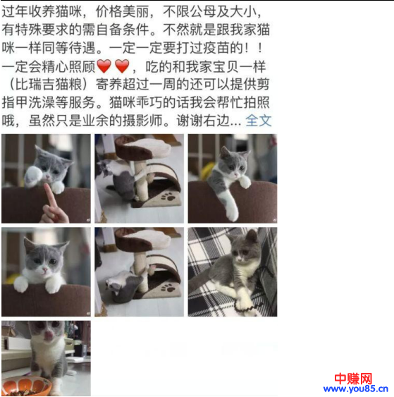 过年期间寄养宠物，也是一个不错的暴利网赚项目，日赚过千-第6张图片-智慧创业网