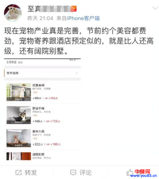 过年期间寄养宠物，也是一个不错的暴利网赚项目，日赚过千-第3张图片-智慧创业网