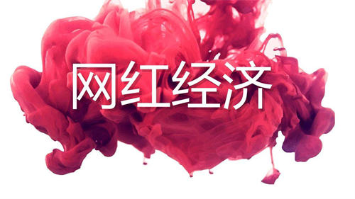 [创业资讯]我是如何靠网红挣到20W的